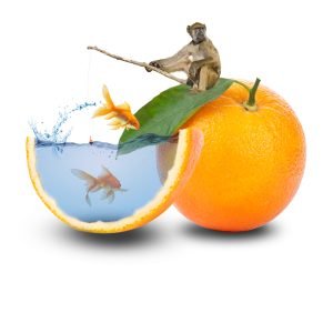 Dobrodošli u moj portfolio. Portfolio